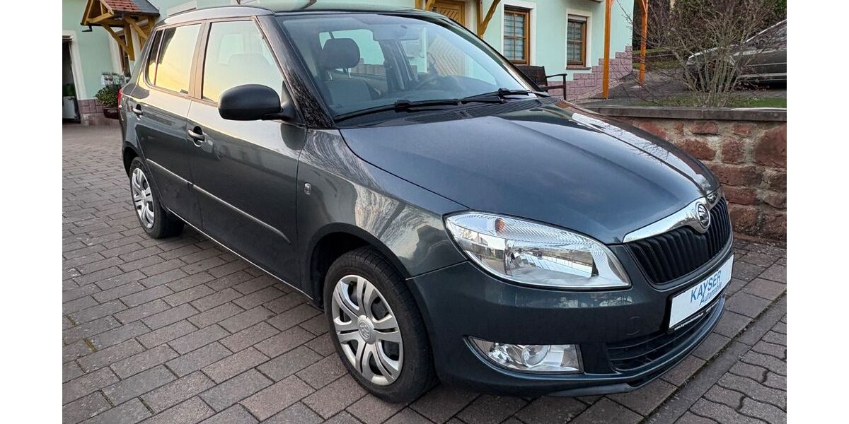 Skoda Fabia 79.855 km 6.590 &euro; Wahnwegen 66909